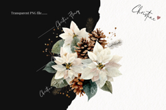 Watercolor White Poinsettia Clipart | Christmas PNG Product Image 2