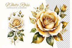 White Roses Watercolor Set - AI-Generated - 10 PNG Product Image 3