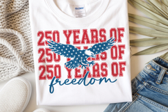 Retro USA 250th Anniversary 2026 Svg Png | 4th of July 1776 Product Image 1