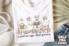 Just An Egg-cited Goose png | Silly Goose Preppy Easter Product Image 1
