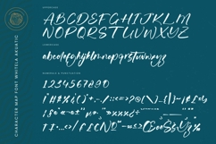 Whitela Akuatic - Bold Brush Font Product Image 18