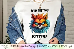 Funny Cat Sublimation | Who Are You Kittin Sarcastic Cat PNG Product Image 1