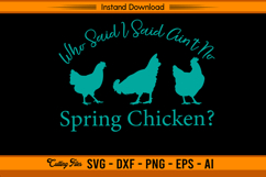Who Said I Said Ain’t No Spring Chicken Funny SVG Product Image 1