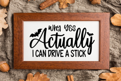 Why Yes Actually I Can Drive a Stick Sign SVG, Farmhouse Product Image 3
