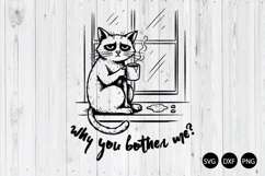 Why You Bother Me SVG, Funny Quote SVG, Funny Cat SVG Product Image 1