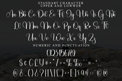 Wicked Product Image 4