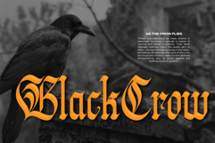 Welgard | Black Metal Font Product Image 4