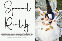 Wikipedia Product Image 5