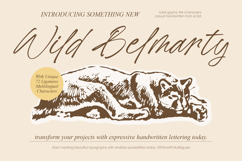 Wild Belmarty - Casual Handwritten Font Product Image 1