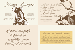 Wild Belmarty - Casual Handwritten Font Product Image 6
