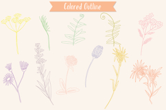 Colored Wild Flowers | Hand Drawn Meadow Plants, Leaf, Fern Product Image 6
