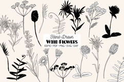 Wild Flowers | Hand Drawn Meadow Plants, Leaves, Fern Product Image 1
