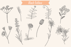 Wild Flowers | Hand Drawn Meadow Plants, Leaves, Fern Product Image 2