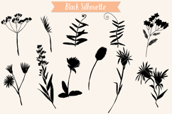 Wild Flowers | Hand Drawn Meadow Plants, Leaves, Fern Product Image 3