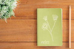 White Wild Flowers | Hand Drawn Meadow Plants, Leaves, Fern Product Image 7