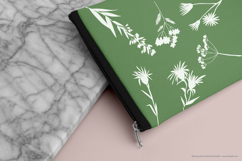 White Wild Flowers | Hand Drawn Meadow Plants, Leaves, Fern Product Image 6