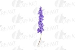 Watercolor wild flowers with green leaves wedding clipart. Product Image 14