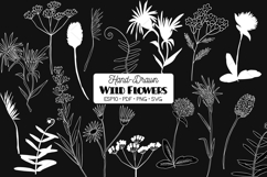 White Wild Flowers | Hand Drawn Meadow Plants, Leaves, Fern Product Image 1