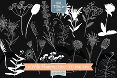 White Wild Flowers | Hand Drawn Meadow Plants, Leaves, Fern Product Image 1