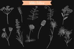 White Wild Flowers | Hand Drawn Meadow Plants, Leaves, Fern Product Image 2