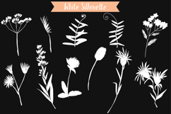 White Wild Flowers | Hand Drawn Meadow Plants, Leaves, Fern Product Image 3