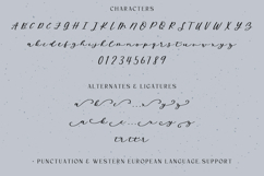 Wild Honey Script Product Image 10