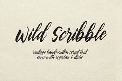 Wild Scribbble - Vintage Script Font Product Image 1