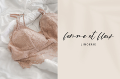 Wildblossom Script Product Image 6