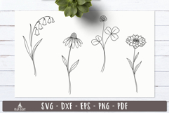 Wildflower Bloom SVG Line art Flower designs