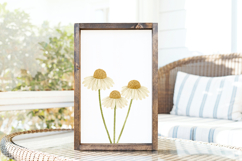 Minimal floral illustration featuring three delicate daisies with light neutral tones and hand-painted texture, ideal for sublimation and Cricut craft projects.