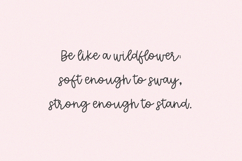 Wildflower Honey Script Product Image 9