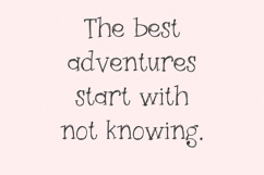 Wildflower Petals Serif Font Product Image 7