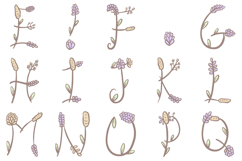 Wildflower PNG Font Floral Flowers Harvest ABC SVG Type Product Image 3