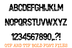 Wildflower Spring Bold Font Botanical Silhouette Typeface Product Image 2