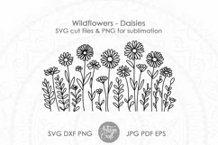 Wildflower SVG cut files showing daisy flowers as digital download 