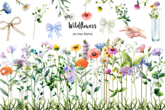 Watercolor meadow flowers clipart. Wildflowers PNG set Product Image 1