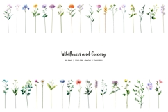 Watercolor meadow flowers clipart. Wildflowers PNG set Product Image 2