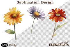 Nature Collection. Watercolour wildflowers Product Image 1