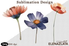 Nature Collection. Watercolour wildflowers Product Image 1