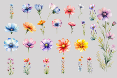 Wildflowers Clipart Bundle | Watercolor Floral Elements Product Image 4
