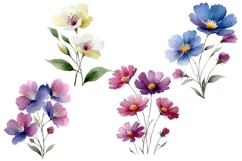 Wildflowers Watercolor Clipart Product Image 3