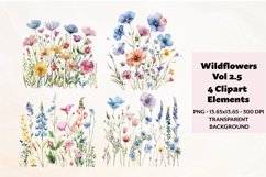 Wildflowers Clipart Vol. 2.5, 4 PNG Product Image 1