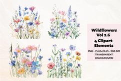 Wildflowers Clipart Vol. 2.6, 4 PNG Product Image 1