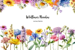 Watercolor wildflower meadow clipart. Meadow wildflowers Product Image 1