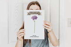 Watercolor wildflower meadow clipart. Meadow wildflowers Product Image 4