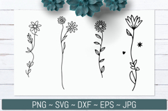 Hand Drawn Wildflower Line Art Designs Product Image 1
