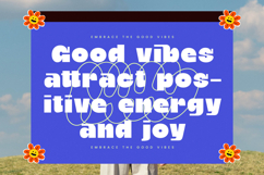 Wilds Kicks - Modern Sans Serif Font Product Image 2