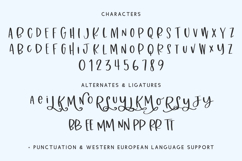 Wildstar Sans Product Image 10