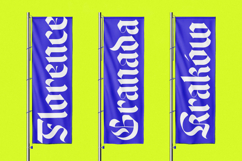 Wilfred Knights - Blackletter Serif Font Product Image 13