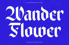 Wilfred Knights - Blackletter Serif Font Product Image 16